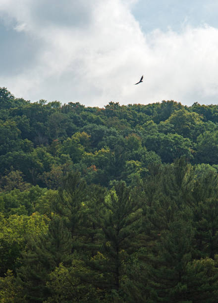 The Flying Dream, Wisconsin,USA.