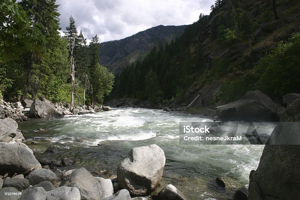 White Water na Rzeka Wenatchee - Zbiór zdjęć royalty-free (Bez ludzi)