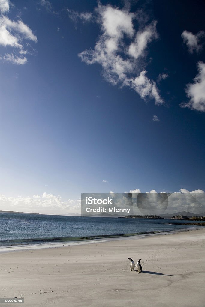 Insieme in spiaggia - Foto stock royalty-free di Amore