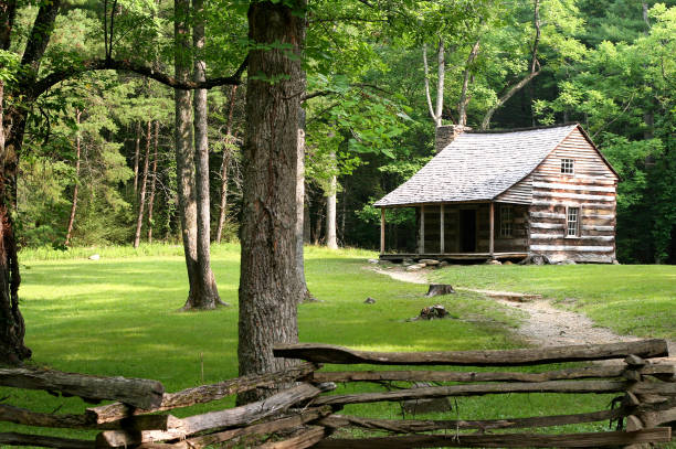 istock Log cabin in grassed clearing with forest path and fence 172278843