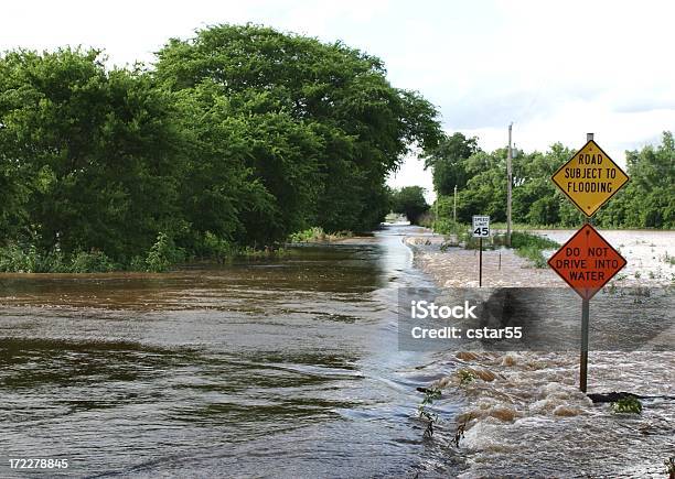 自然光の中で国の道路標識の木水平 - 洪水のストックフォトや画像を多数ご用意 - 洪水, 通り, 道路