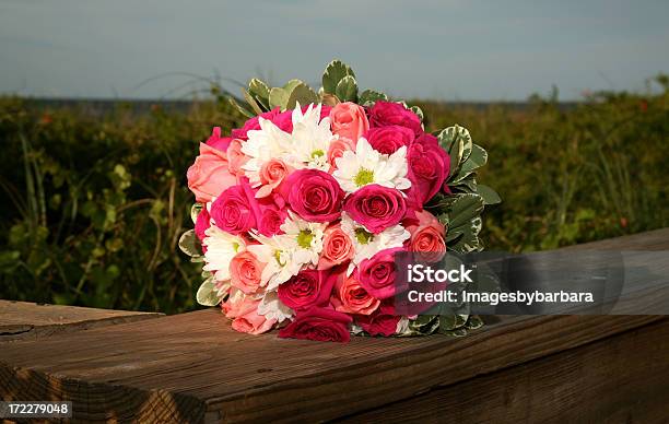 Belleza Floral Foto de stock y más banco de imágenes de Agua - Agua, Aire libre, Anochecer