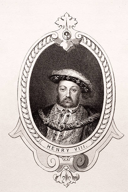 ilustrações de stock, clip art, desenhos animados e ícones de rei henrique viii - henry viii tudor style king nobility