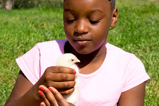 istock little girl with baby chick 172279647