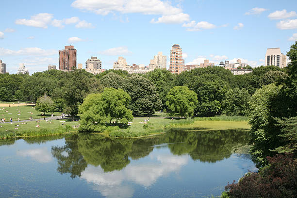 istock City Skyline And Park 172279677