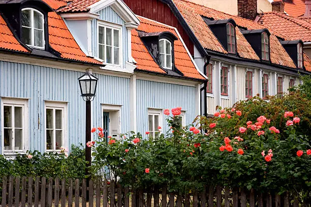 "Rose garden in the picturesque city of Kalmar, Sweden."