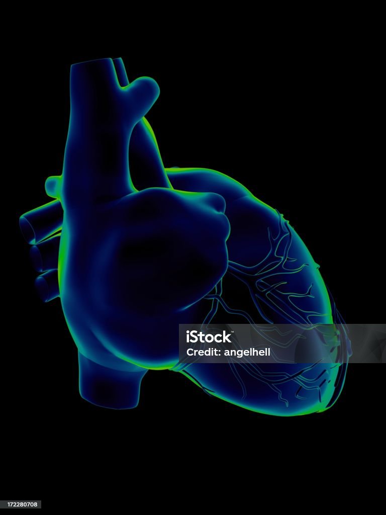 Human heart for medical study "Human heart, with aorta, pulmonary trunk, veins, left ventricle, right ventricle, left atrium, right atrium, superior vena cava, inferior vena cava and artery, on black background. Great to be used in medicine works and health." Analyzing Stock Photo