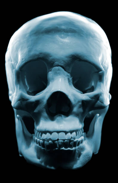 istock Blue tinted skull on a black background 172280713