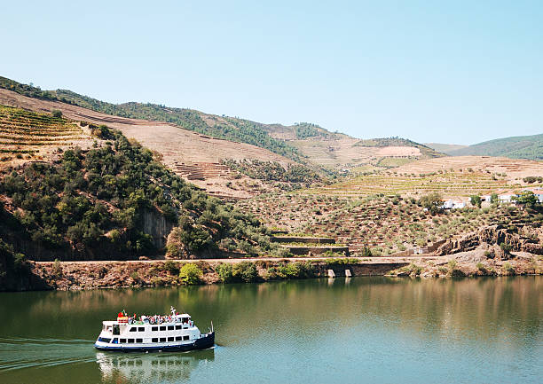 ポートワインのブドウ園 - douro valley clear sky copy space nobody ストックフォトと画像