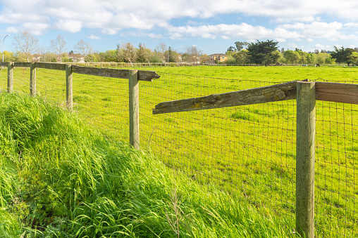 broken fence on green grass on a typical American farm in Napa Valley, CA