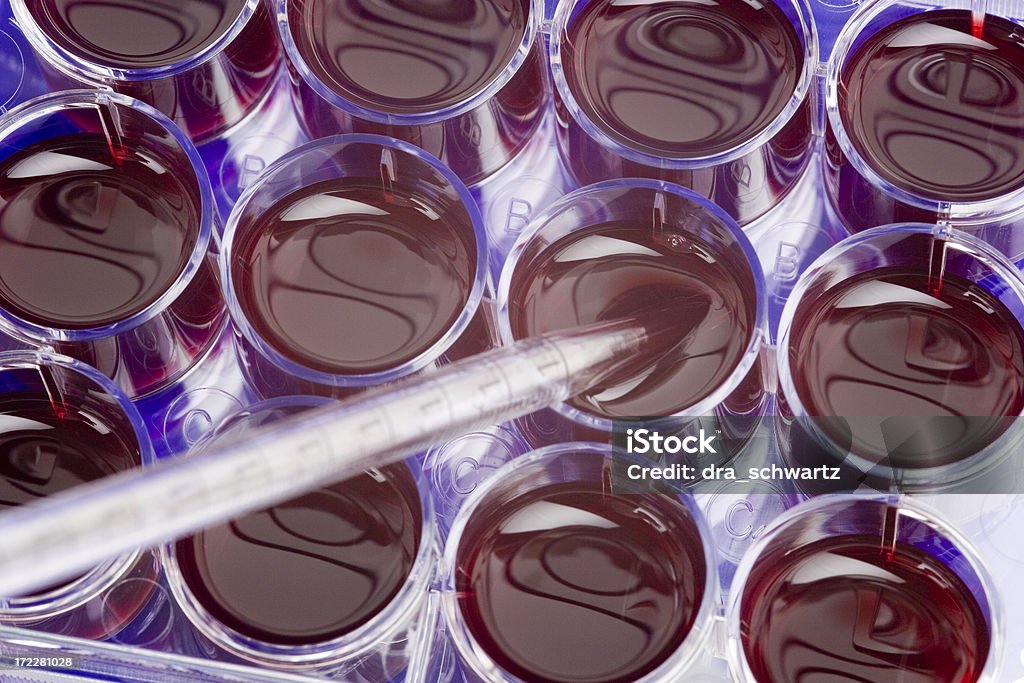 Cultura de células estaminais - Royalty-free Biologia Foto de stock
