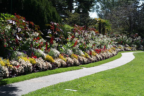 caminho no jardim - columbia missouri imagens e fotografias de stock