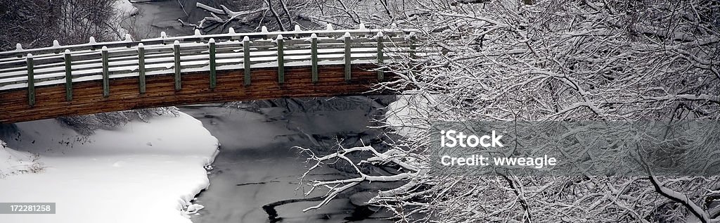 Zima Most baner - Zbiór zdjęć royalty-free (Bez ludzi)
