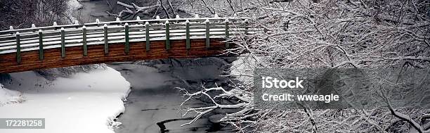 Zima Most Baner - zdjęcia stockowe i więcej obrazów Bez ludzi - Bez ludzi, Biały, Burza śnieżna