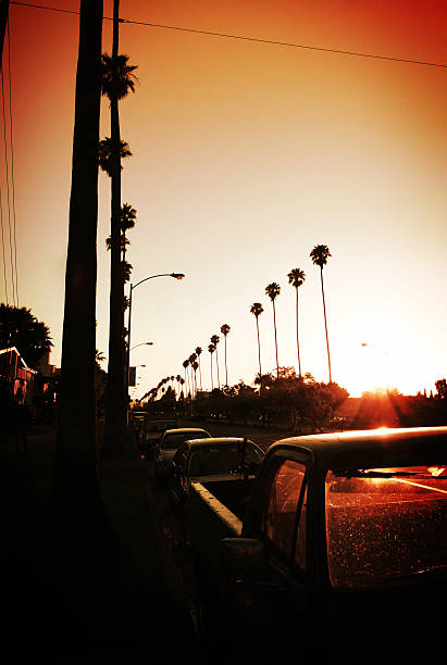 Los Angeles sunset