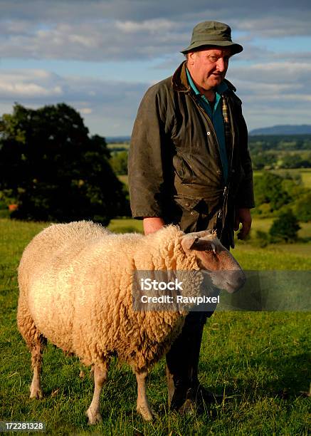 Photo libre de droit de Sheperd banque d'images et plus d'images libres de droit de Agriculteur - Agriculteur, Angleterre, Travailler