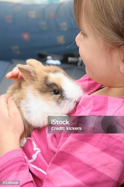 Photo libre de droit de Taquiner Une Lapereau banque d'images et plus d'images libres de droit de Enfant - Enfant, Lapin - Animal, Amour