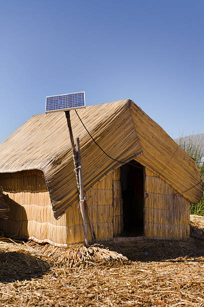 Dog in front of a house with photovoltaic installation