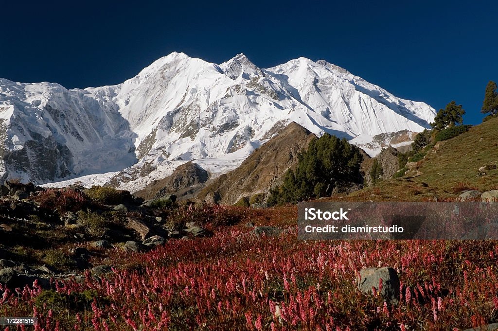 7788 m, Karakoram, in Pakistan. Rakaposhi - Foto stock royalty-free di Alpinismo