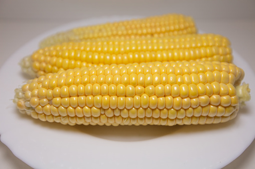 Closeup of corn kernels on plate isolated on white background