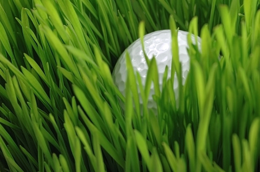 Golf ball stuck in deep grass.