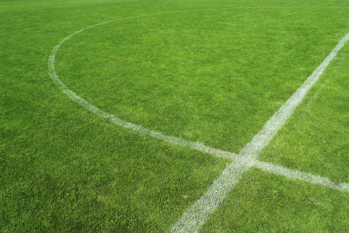 Soccer field-grass detail.