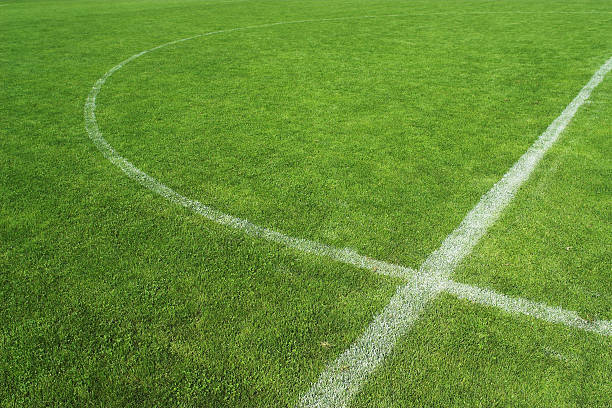 Close up of middle part of soccer grass field stock photo