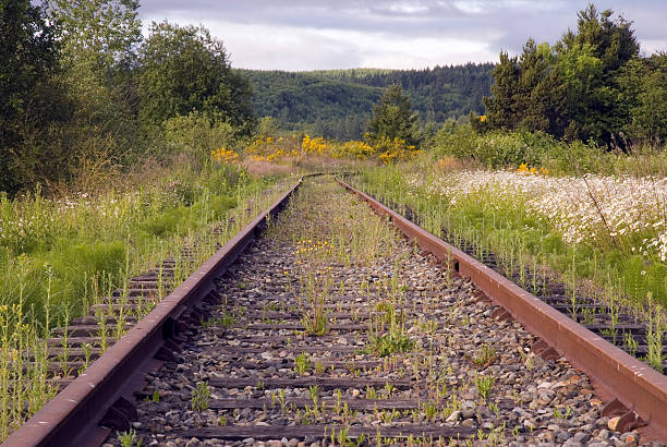 Verlassenen Railroad – Foto