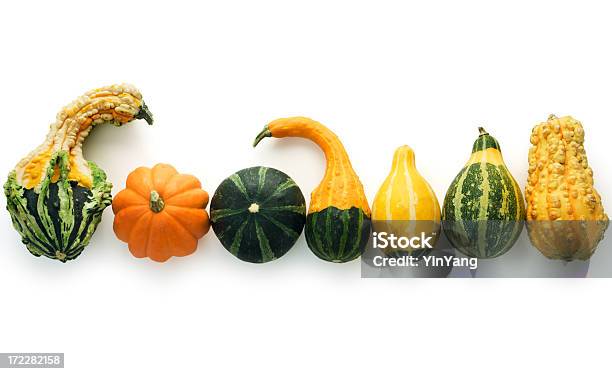 Herbst Gourds Isoliert Stockfoto und mehr Bilder von Flaschenkürbis - Flaschenkürbis, Weißer Hintergrund, Gartenkürbis