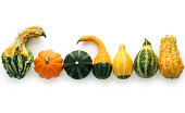 Autumn Gourds Isolated