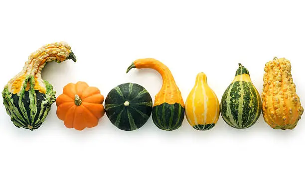 Subject: Various colorful autumn gourds isolated on a white background