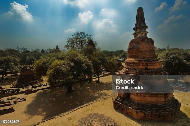 Photo libre de droit de Ayutthaya Paysage banque d'images et plus d'images libres de droit de Arbre - Arbre, Arbre tropical, Asie