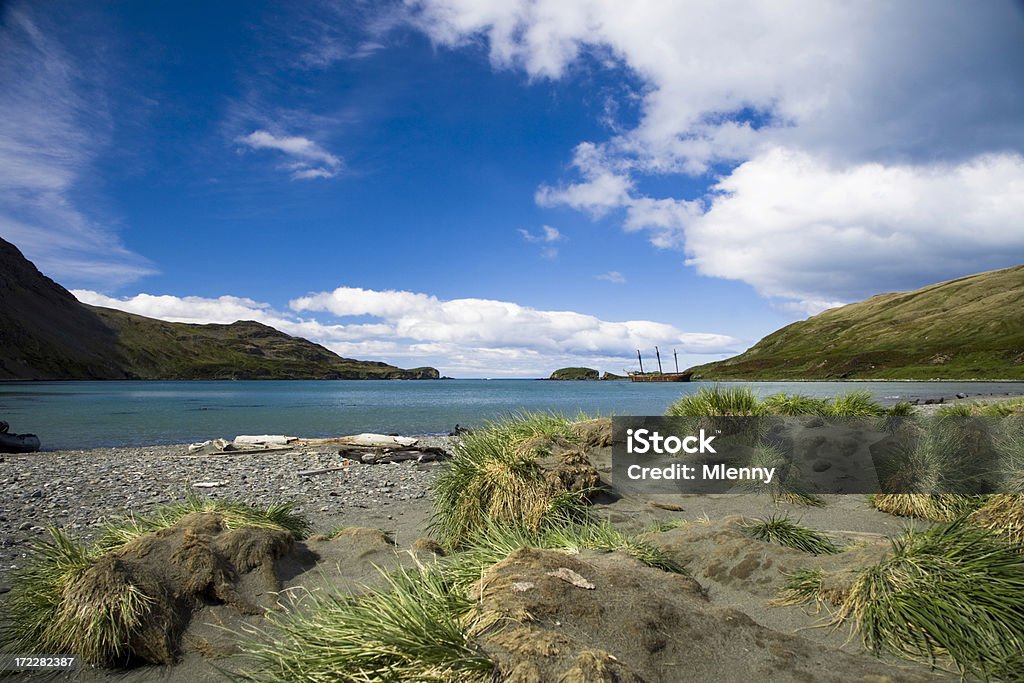 Con nave costa delle Isole Falkland - Foto stock royalty-free di Isole Falkland