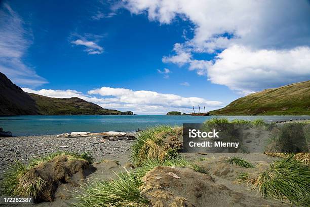 Con Nave Costa Delle Isole Falkland - Fotografie stock e altre immagini di Isole Falkland - Isole Falkland, Natura, Acqua