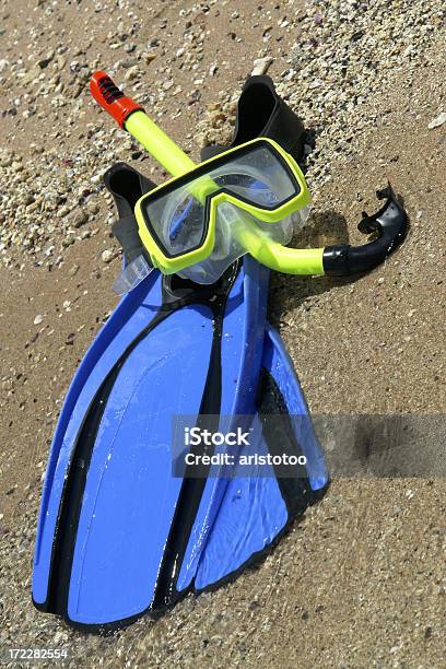 Accesorios De Deportes Acuáticos Foto de stock y más banco de imágenes de Accesorios de deportes acuáticos - Accesorios de deportes acuáticos, Agua, Aleta - Equipo de buceo