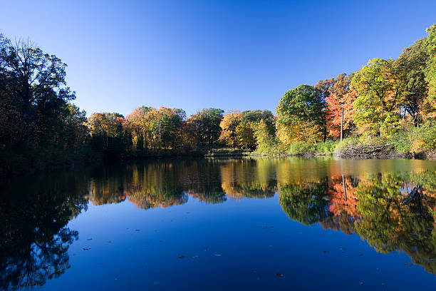 apacible lago de otoño en illinois - lisle fotografías e imágenes de stock