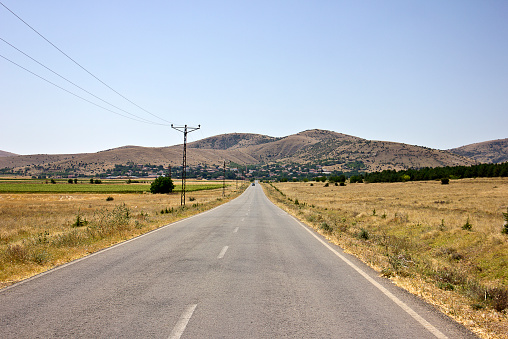 the village road on field in summer time.