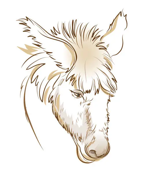 Vector illustration of Stylized head of sad donkey. Digital drawing. Fantasy illustration. Printable sketch of farm animal. Modern print for fashionable fabric, textile, decoration, embroidery, tattoo. Hand-drawn vector.