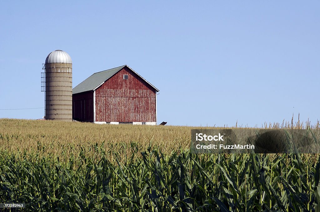 Farm - Foto de stock de Agricultura libre de derechos