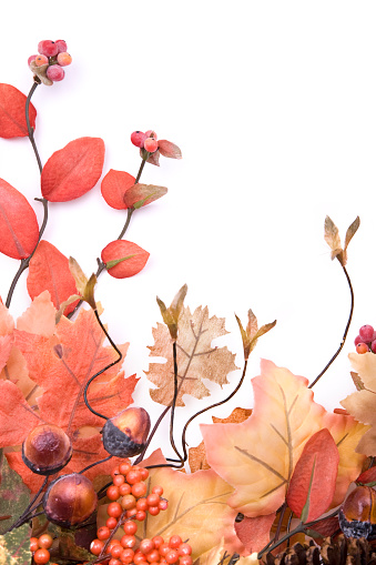 Autumn arrangement with acorns, leaves, and berries on white.