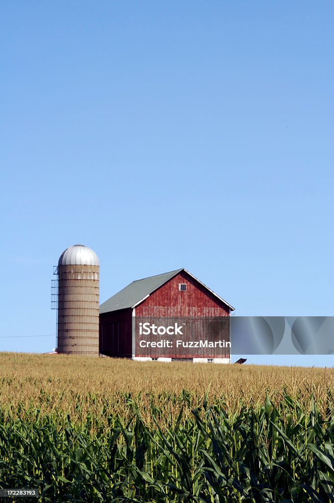 Farm - Royalty-free Celeiro Foto de stock