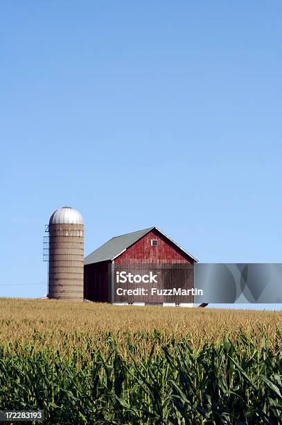 Farm - Fotografias de stock e mais imagens de Celeiro - Celeiro, Milho, Agricultura