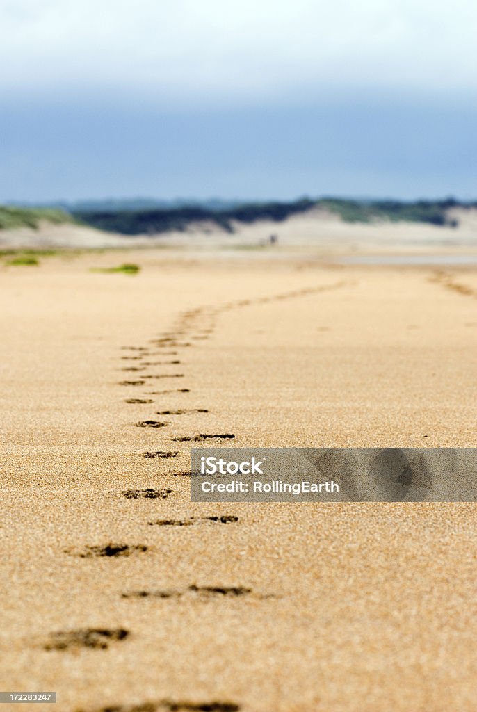 Empreintes de pas sur la plage - Photo de Au loin libre de droits