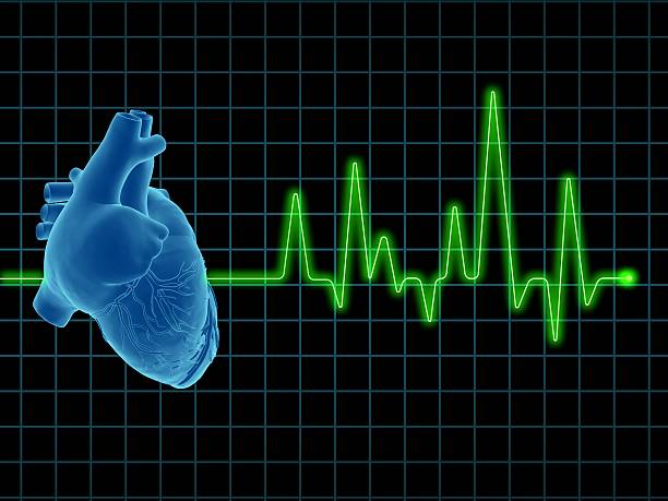 elettrocardiogramma (ecg o ecg) con cuore umano su schermo - human heart pulse trace heart valve cardiac conduction system foto e immagini stock