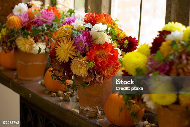 가을 꽃 Pots 가을에 대한 스톡 사진 및 기타 이미지 - 가을, 국화, 장식품