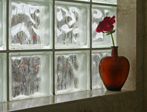 This pretty red flower in a heart shaped vase caught my eye. I like the  condensation on the glass bricks in the shower.