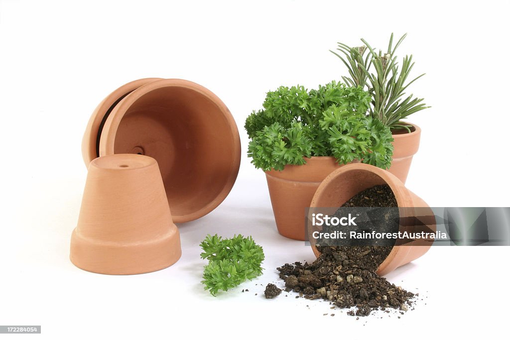 herb garden Herb garden with clay pots. Isolated on white background. Clay Stock Photo