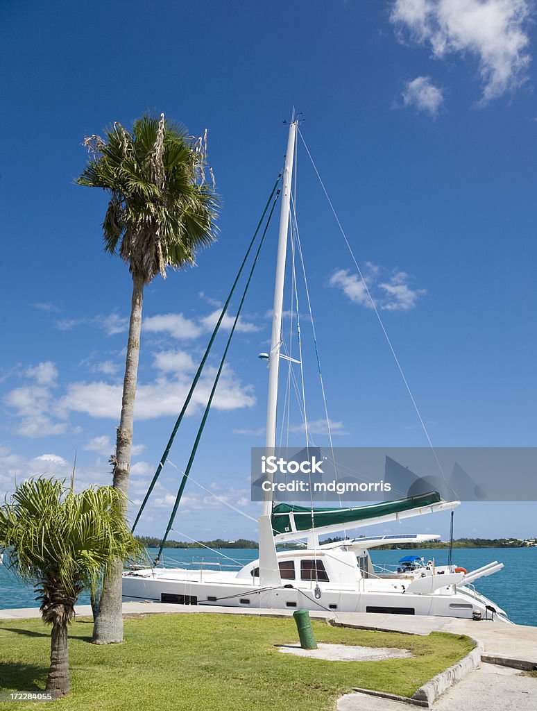 Sailboat in St Georges Harbor Sailboat docked next to palm tree in St. Georges Harbor, Bermuda. Bermuda Stock Photo