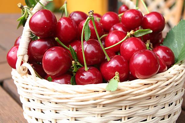 wiśnie - sour cherry zdjęcia i obrazy z banku zdjęć