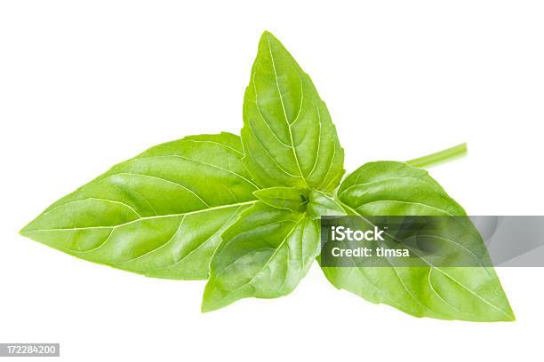 Gardenfresh Manjericão - Fotografias de stock e mais imagens de Caule de planta - Caule de planta, Cor verde, Crescimento